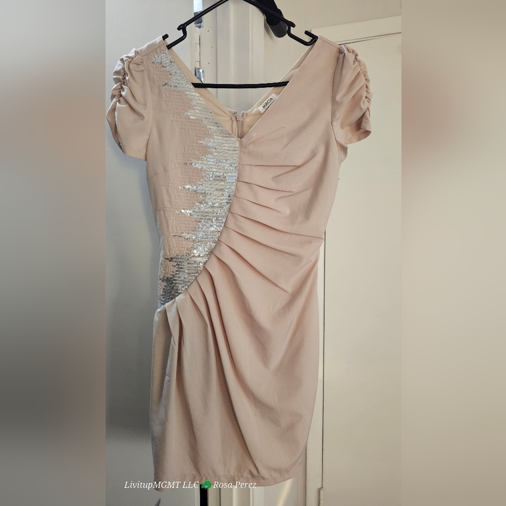 Chic Beige Dress with Silver Accents